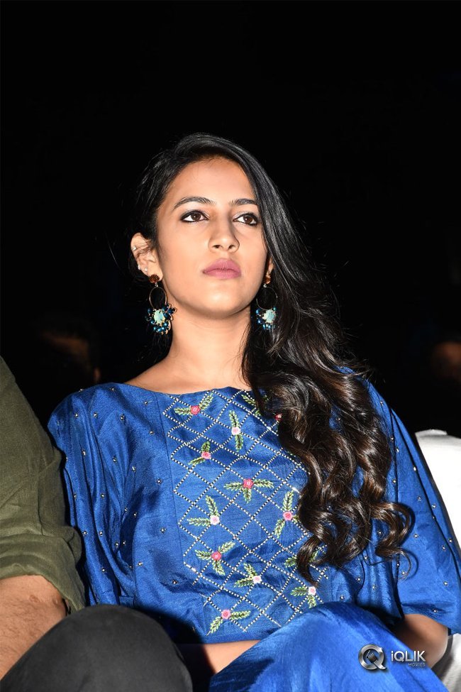 Naa-Peru-Surya-Naa-Illu-India-Pre-Release-Event-Photos